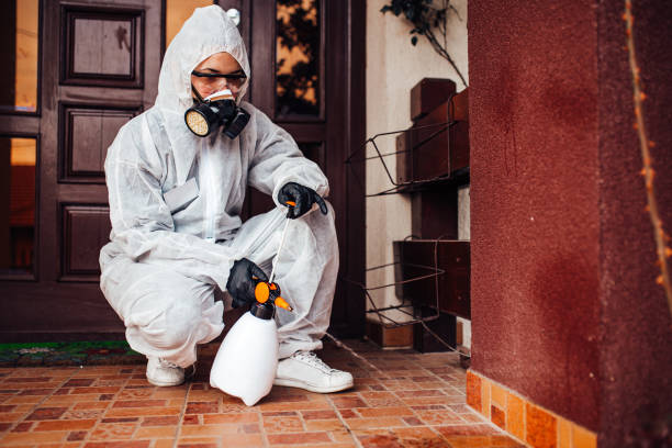 Reliable Ant Control contractor in Rochelle, GA by Show Me Pest Control